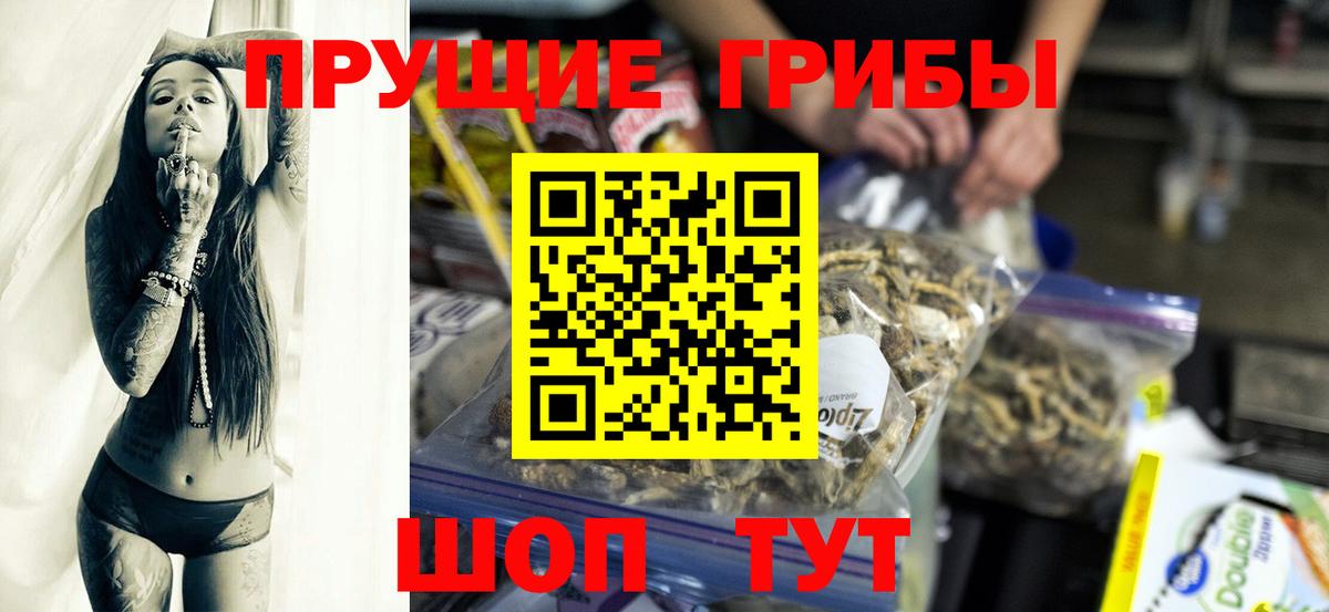 Шатура  Псилоцибиновые грибы Psilocybine cubensis  Вход с VPN 