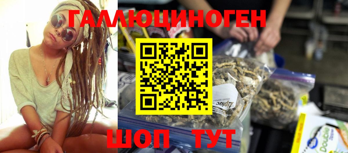 Галлюциногенные грибы Psilocybine cubensis Шатура